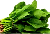 Szpinak zielony liście Leaf Spinach pęczek