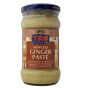 Ginger Paste TRS 300g - 2
