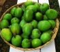 Mango zielone świeże Green Mango 250g - 2