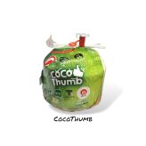Świeży kokos(Young Coconut)