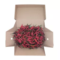Świeże czerwone papryczki chilli Fresh Red Chilli Eco Premium 750g