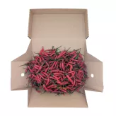 Świeże czerwone papryczki chilli Fresh Red Chilli Eco Premium 750g