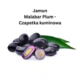 Jamun 500g(Black Plum)
