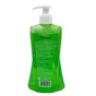 Purifying Neem Face Wash Himalaya 400ml - 2