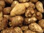 Kolokazja jadalna Arbi Taro Root Coco Yam