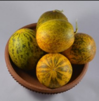 Ogórek Valarica Cucumber