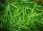 Zielone papryczka Chilli Green  250g