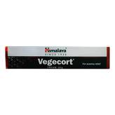 Maść na egzemę Vegecort HIMALAYA 30g