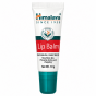 Protective Lip Balm Lip Balm Himalaya 10g
