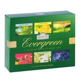Herbaty zielone Evergreen Ahmad Tea 60 szt
