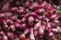 Cebula szalotka Small Onion Shallot 250g - 2