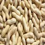 Peanuts Fresh 250g