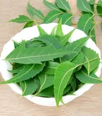 Neem Leaves (Only by Order) 20g