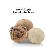 Wood Apple 1 pcs (bel) kothu