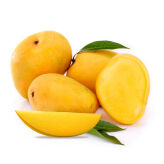 Mango Alphonso (5-6 Sztuk)